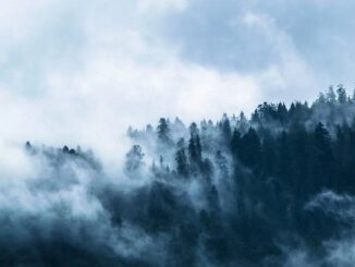 tempo alpi pianura nebbia