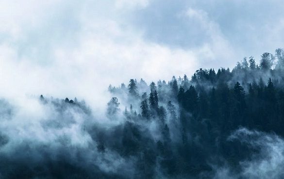 tempo alpi pianura nebbia