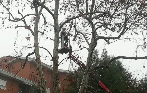 Castellanza manutenzione verde
