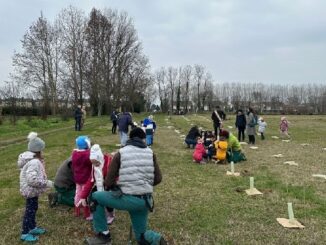 cassinettadilugagnano forestami ambiente bosco