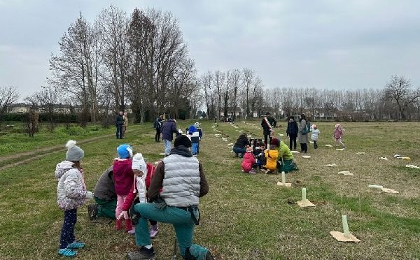 cassinettadilugagnano forestami ambiente bosco