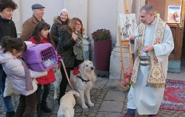 benedizione animali santantonio tradizioni