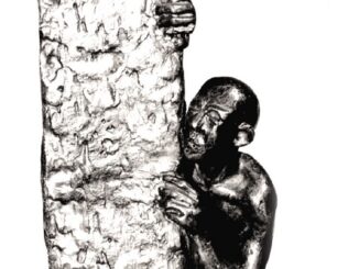 busto spazio farioli randi 01