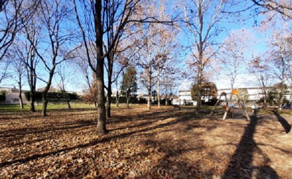 cassano parco magana restyling