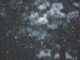 varese nevicate 300 metri