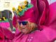 gallarate carnevale sfilata 2023
