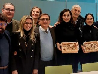 gallarate amaretti regione lombardia