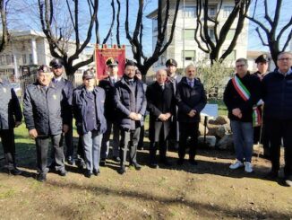 Gallarate ulivo Giovanni Palatucci