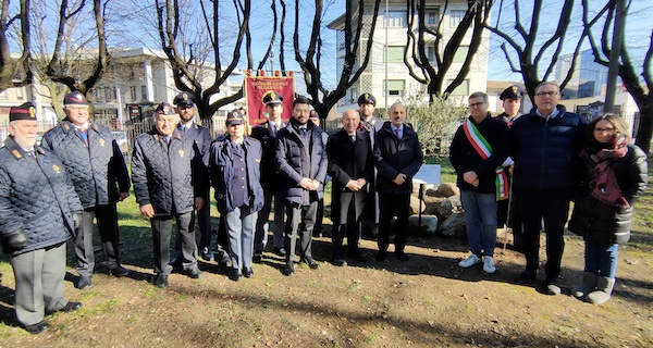 Gallarate ulivo Giovanni Palatucci Gallarate ulivo Giovanni Palatucci