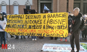 Samarate protesta animalisti municipio