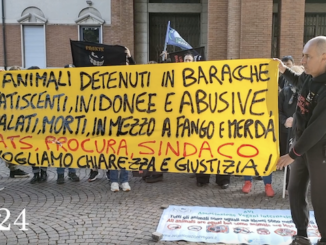 Samarate protesta animalisti municipio