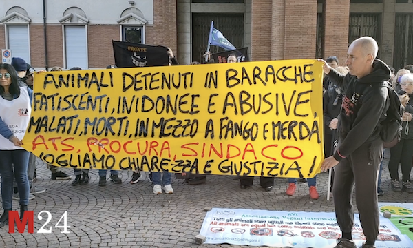 Samarate protesta animalisti municipio