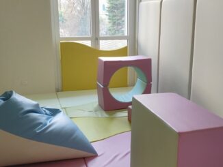 Gallarate centro autismo accreditamento