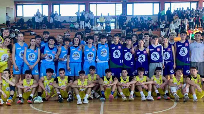 Varese School Cup Basket