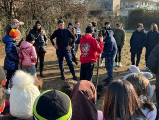 gallarate alberi gerolamo cardano