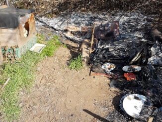 castanoprimo incendio gatti colonia