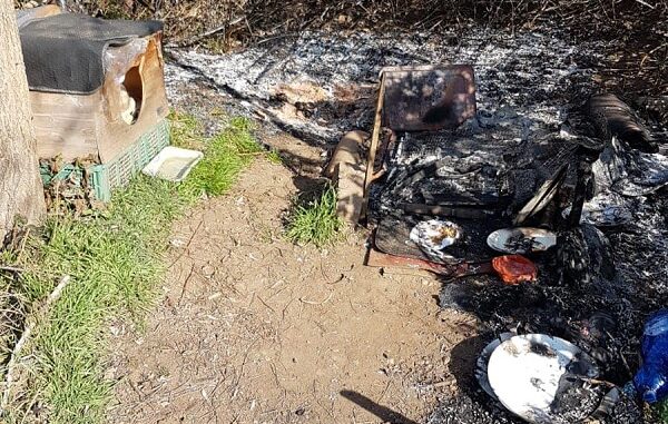 castanoprimo incendio gatti colonia