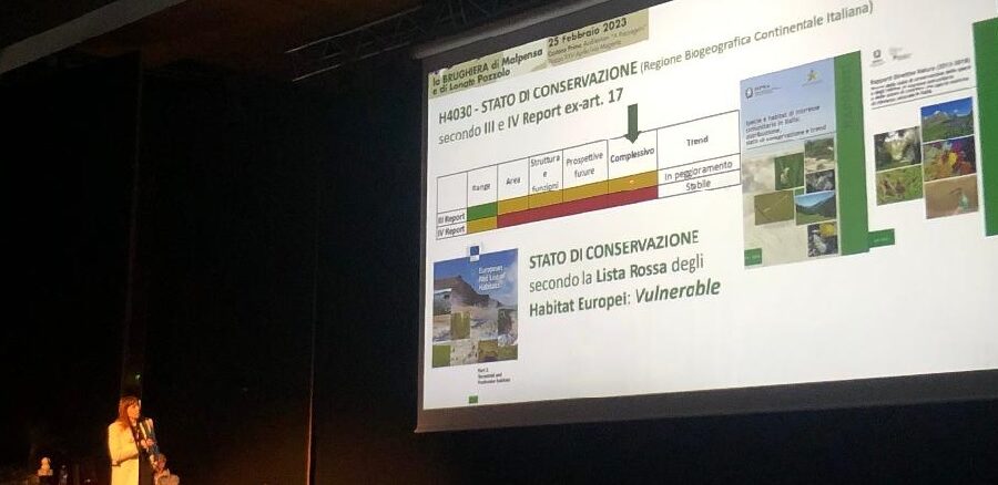 castanoprimo lonatepozzolo brughiera convegno