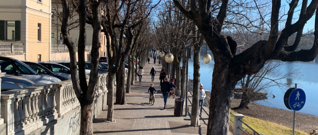 sesto ciclabile centro alberi