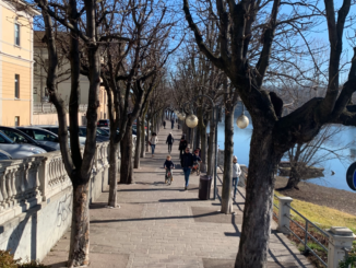 sesto ciclabile centro alberi