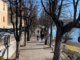 sesto ciclabile centro alberi
