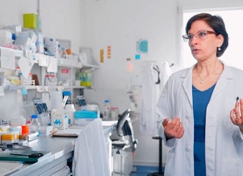 castanoprimo saronno malattierare fondazioneaurea