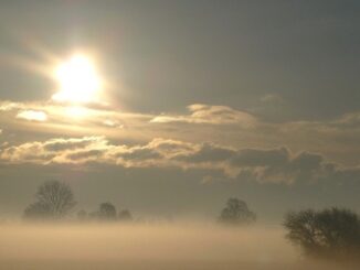 sole nebbia termometro gradi 01