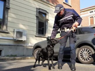 gallarate cane poliziotto zorro