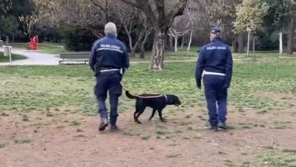Gallarate cane antidroga falcone