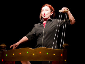 Gallarate pinocchio teatro arti