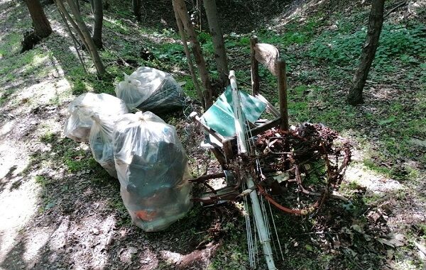 magnago ambiente rifiuti ecoimmunità
