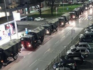 novik zona rossa