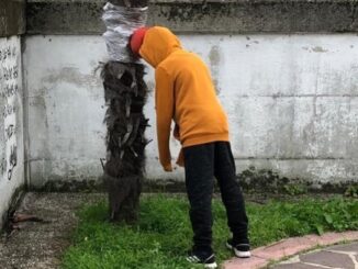 abbiategrasso minori fragilità pippi