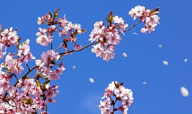 föhn cielo sereno temperatura