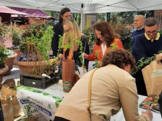 legnano forestami earthhour ambiente