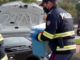 vergiate polizia areu trasporto organi