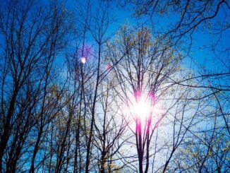 sole nuvola primavera temperatura