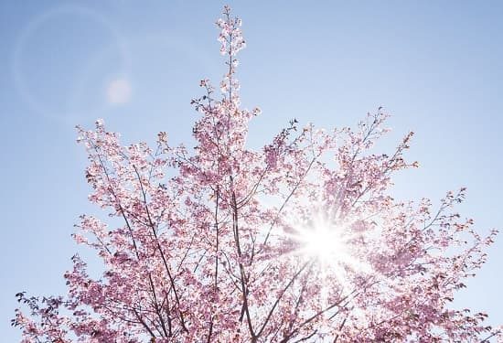 sole primavera termometro gradi