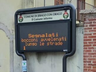 Jerago polpette avvelenate cani