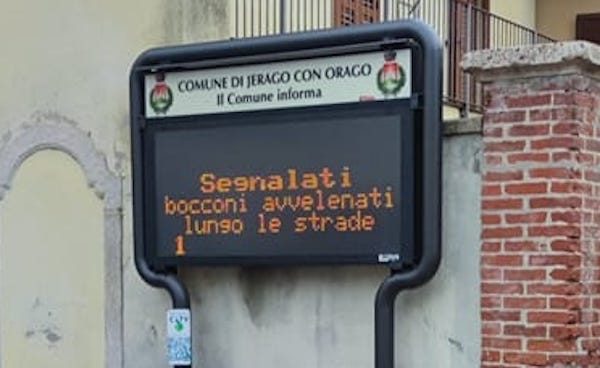 Jerago polpette avvelenate cani