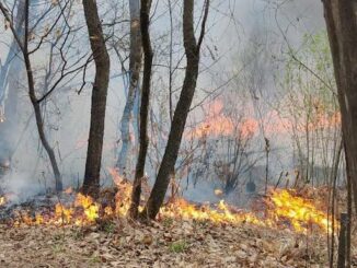 Incendio pasquetta cavaria Jerago