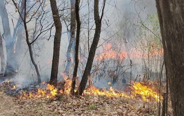 Incendio pasquetta cavaria Jerago