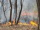 Incendio pasquetta cavaria Jerago