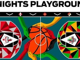 Playground Knights inizio lavori