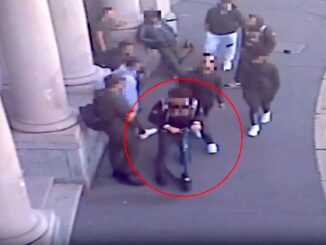 gallarate rapina scuola arresti