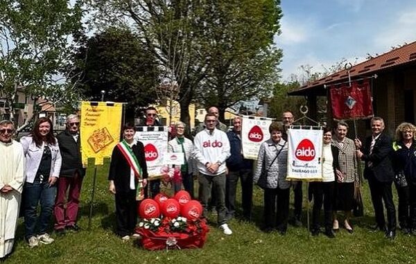 dairago aido donazione albero