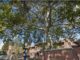 legnano amga piante censimento alberi