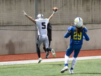 legnano frogs football americano