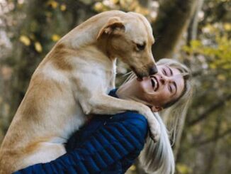 Albizzate corso adozione cane
