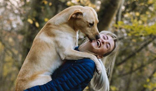 Albizzate corso adozione cane